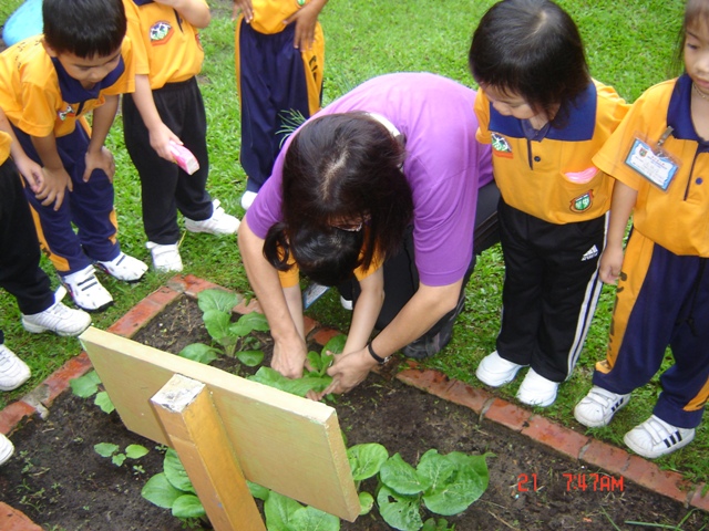 DSC07642.JPG